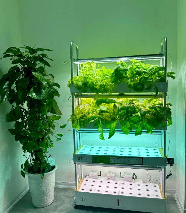 Giải pháp Smart Farm chiếu sáng nông nghiệp công nghệ cao và nông nghiệp chính xác.