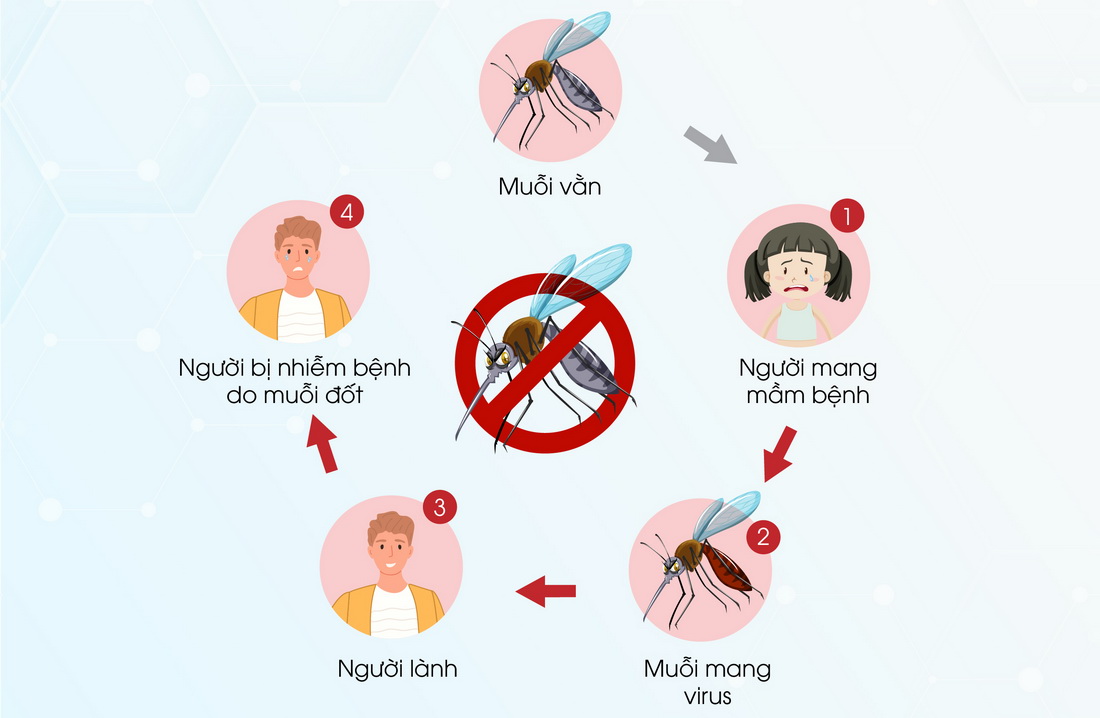 Vợt bắt muỗi Rạng Đông tiêu diệt 99% muỗi