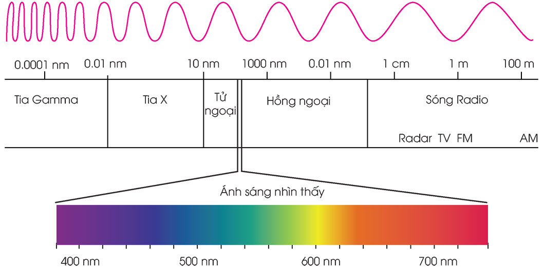 Tác động của ánh sáng đến nhịp sinh học và đồng hồ sinh học của con người