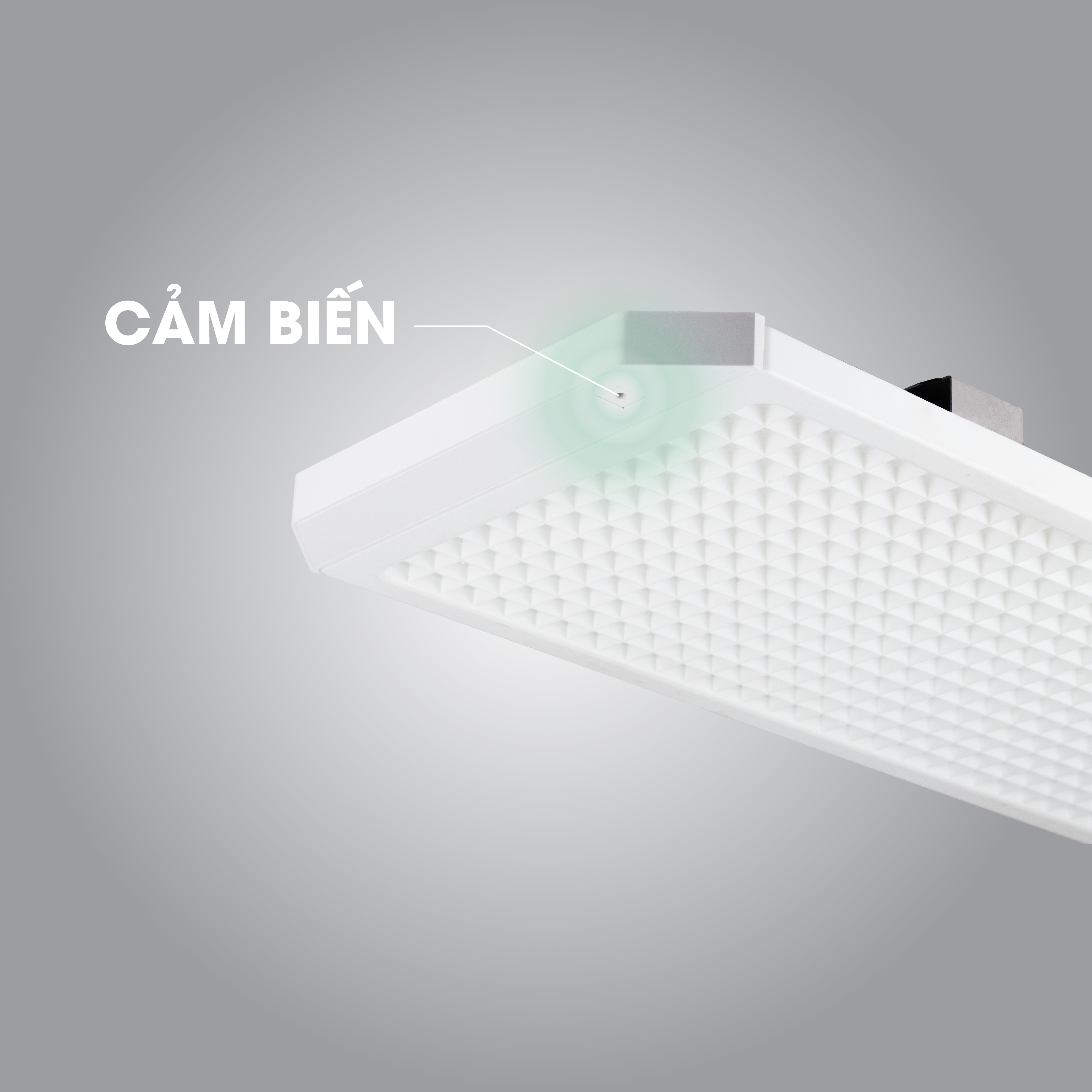 Bộ đèn LED chiếu sáng lớp học