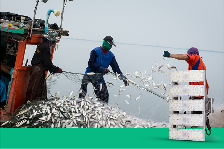 Nâng cao sản lượng đánh bắt cá