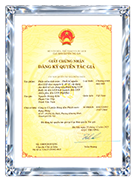 Certificate 4