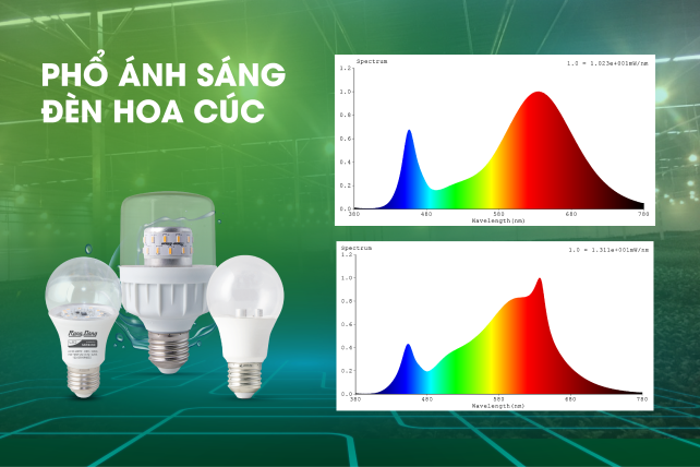 Tăng năng suất chất lượng hoa