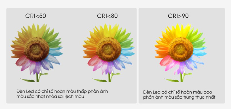 Vai trò của ánh sáng đúng chuẩn đối với mắt
