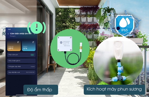 Cảm biến không khí & ánh sáng thông minh: Nâng tầm vườn đô thị