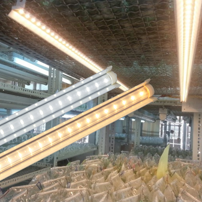 Đèn LED chuyên dụng cho nuôi cấy mô 1.2m