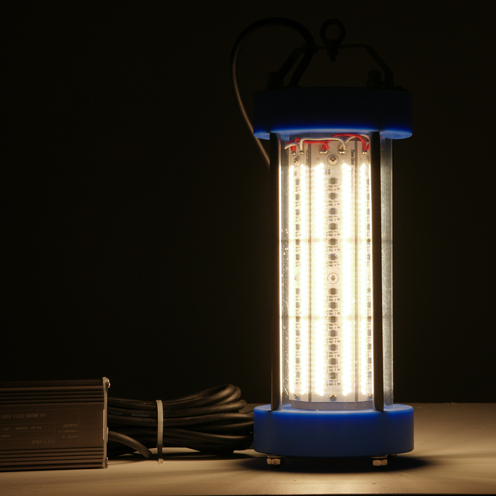 Đèn LED thả ngầm TC02 800W